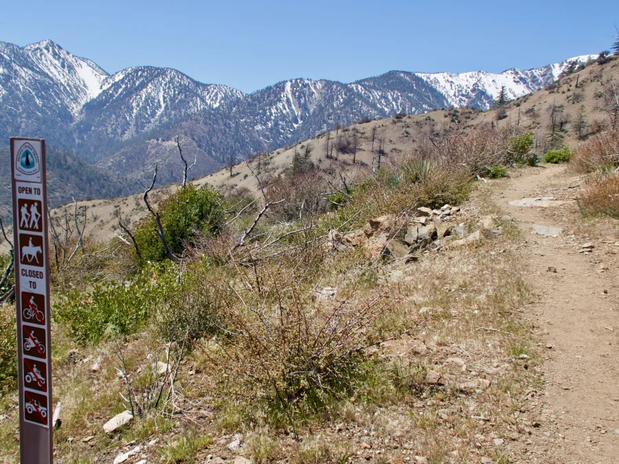 PCT marker