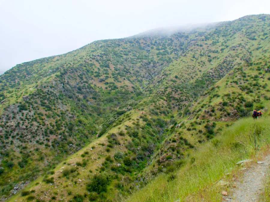 View of the PCT