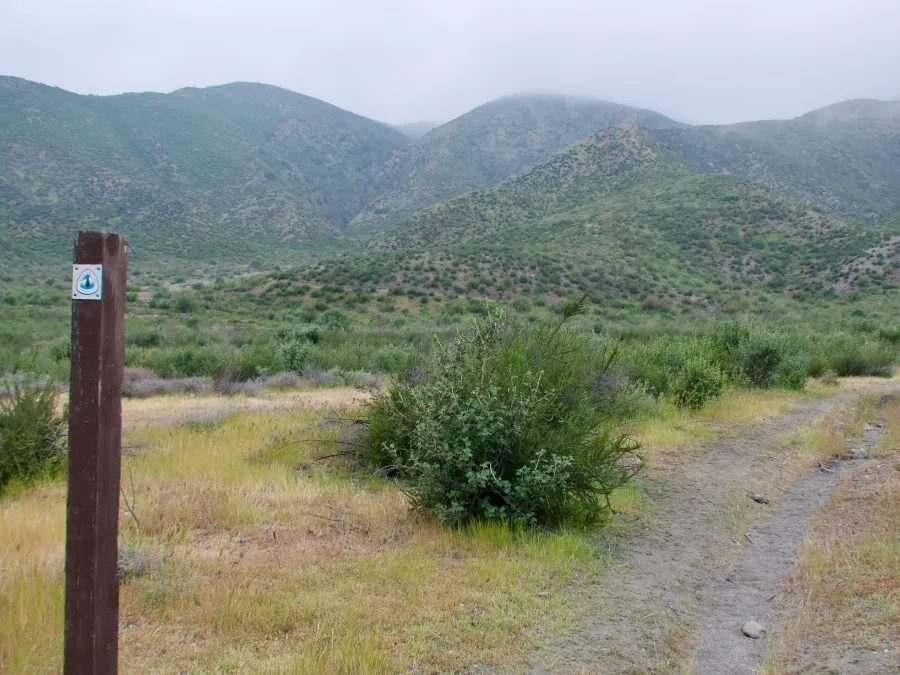 PCT trail marker