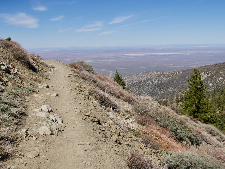 View of Mojave Desert
