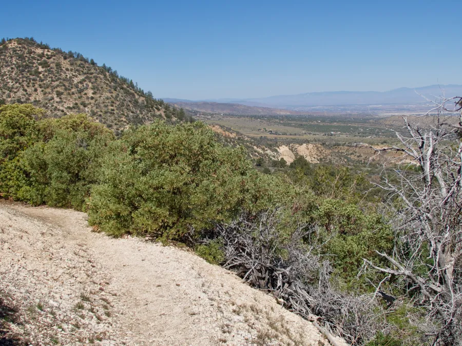 Exposed trail