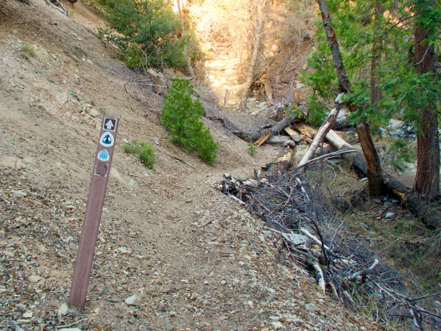 End of Burkhart Trail, return to the PCT