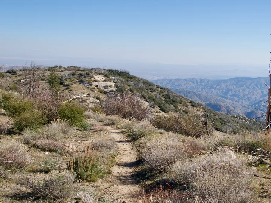 Descending on barren trail