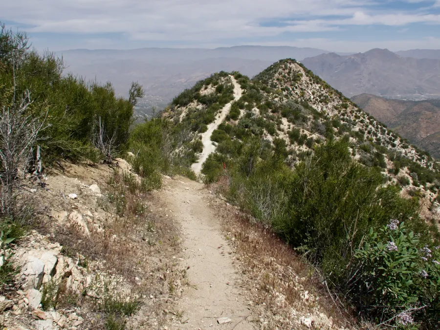 Trail over ridge