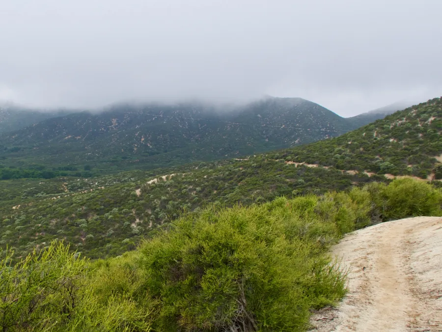 Low clouds