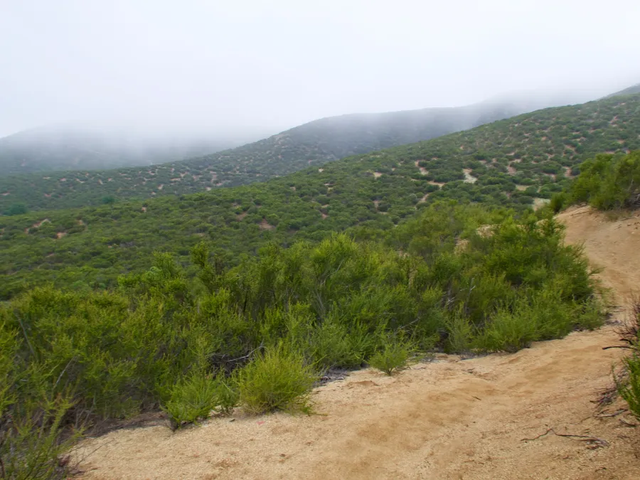 Sandy trail
