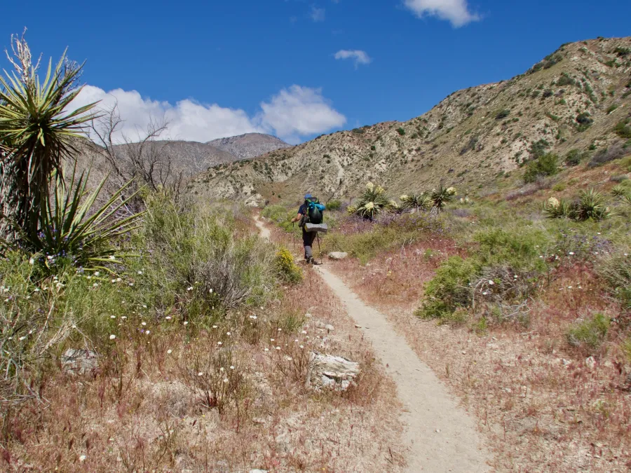 Tengo Hambre on ascending trail