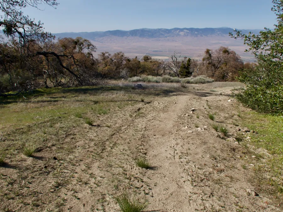 Another view of the Mojave Desert 
