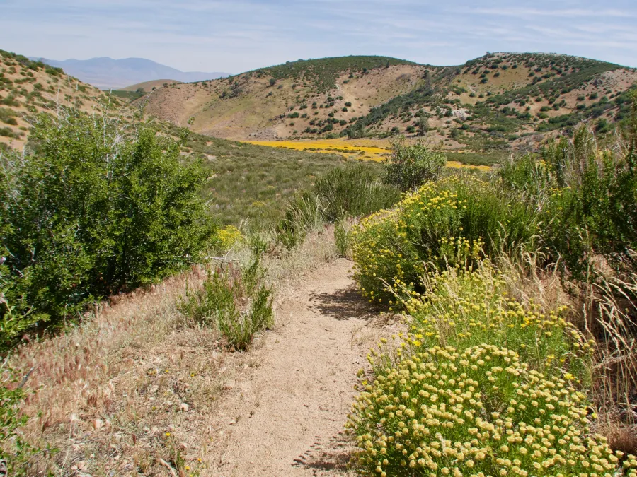 Lower trail heading to Mojave Desert