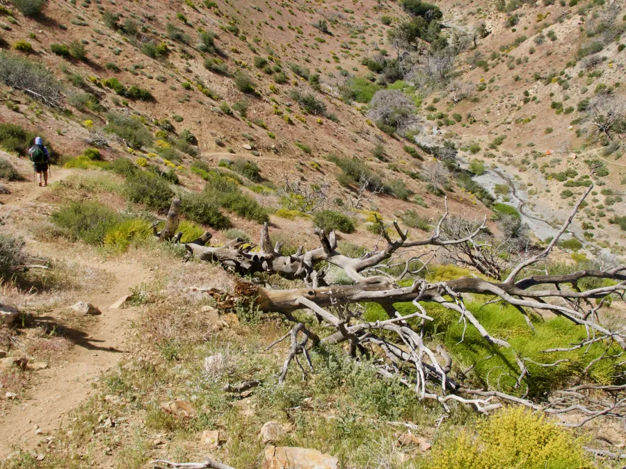 Descending into Tylerhorse Canyon