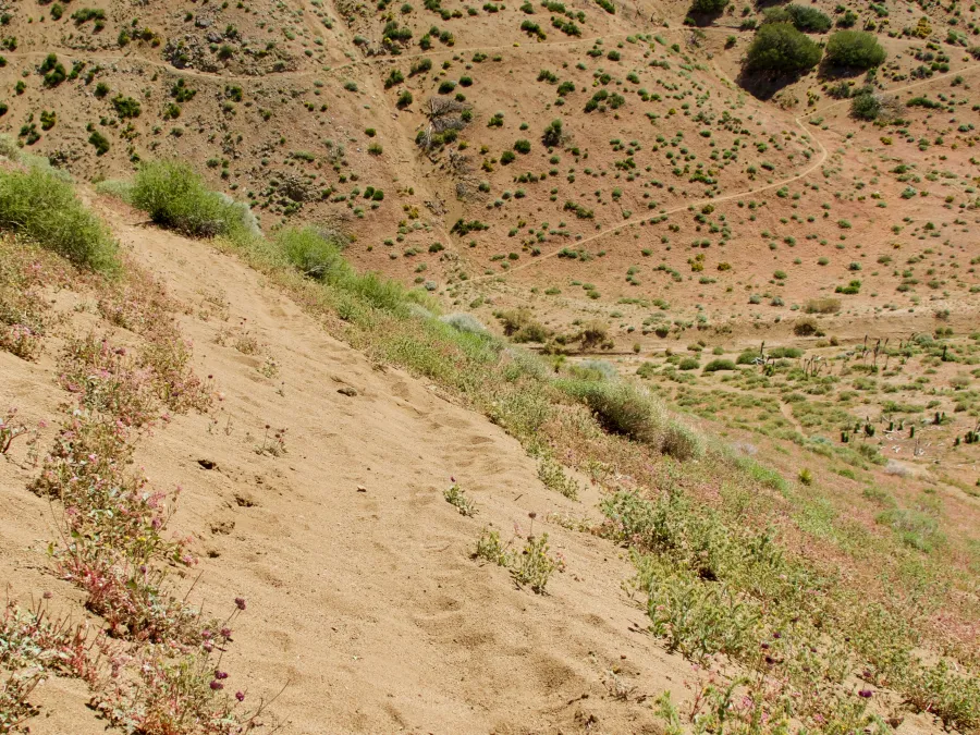 Sandy trail around the ridge