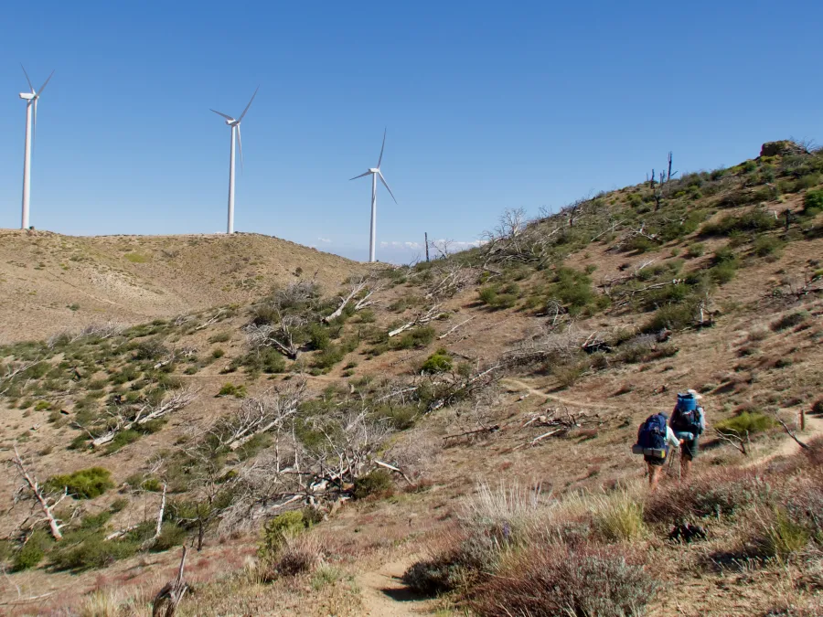 Just Awesome and Spamala climb toward wind farm