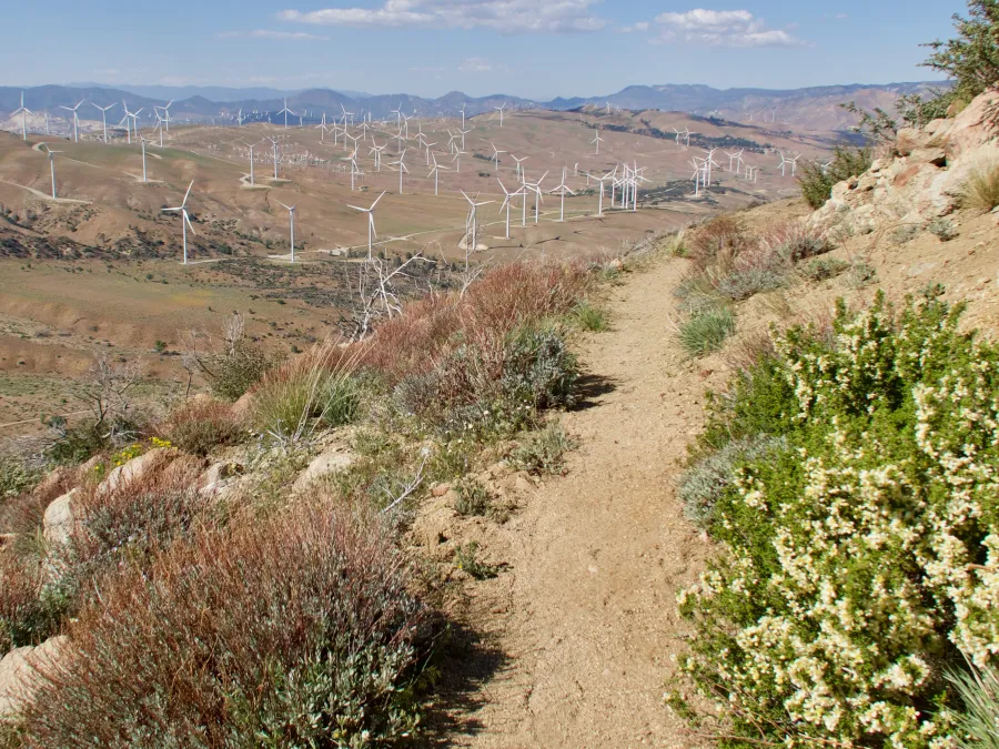 Trail heading to Tehachapi