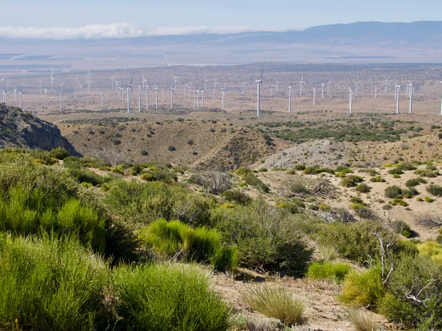 View of wind farm in Antelope Valley