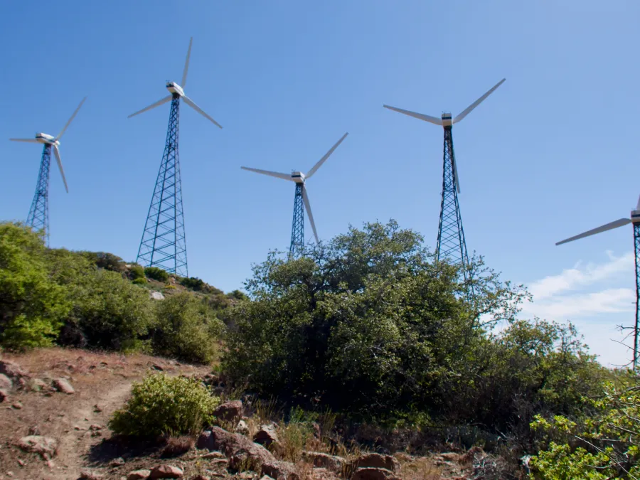 More windmills