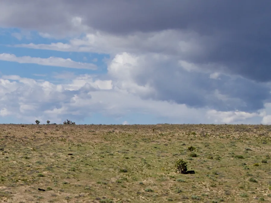 More dark clouds