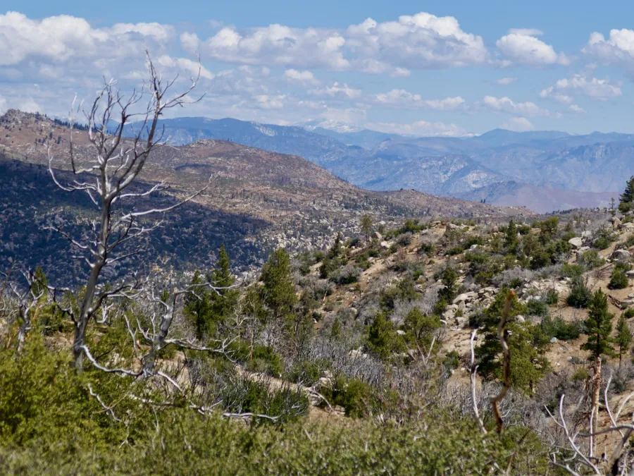 View of Olanche Peak