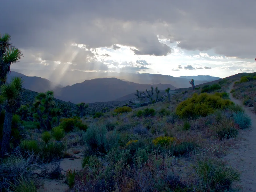 Sun breaking through clouds