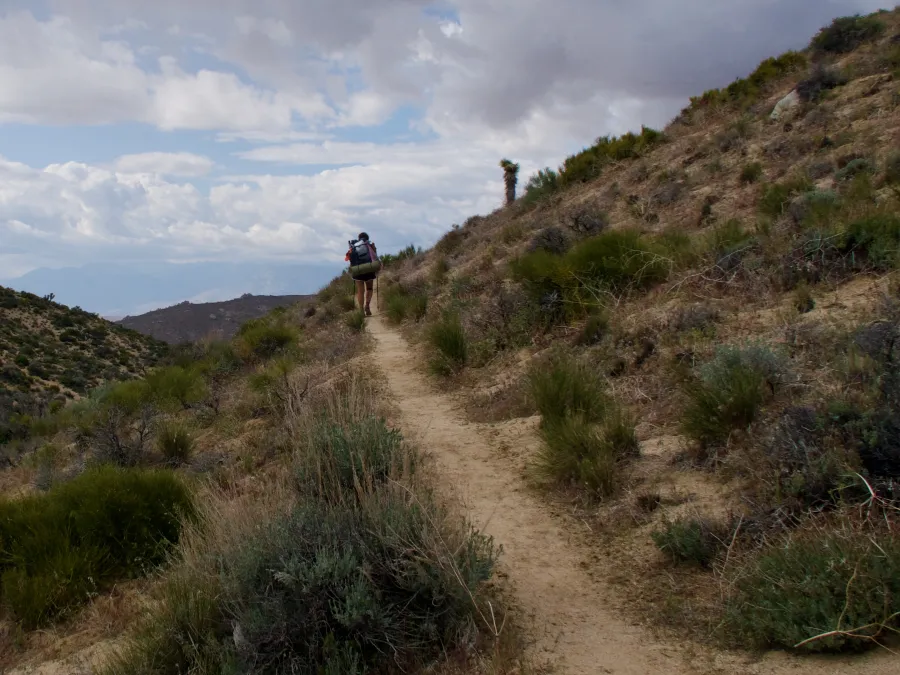 Climbing trail with MJ
