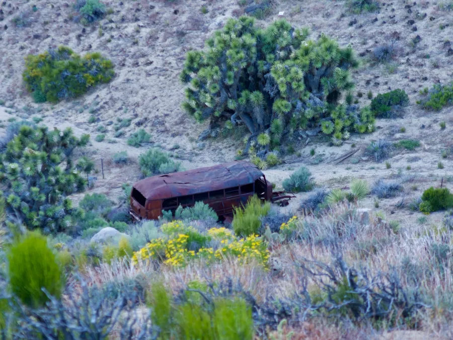 Old rusty bus