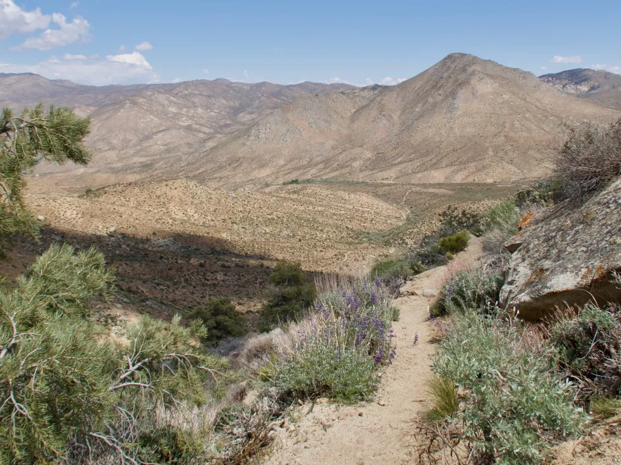 View of Kelso Canyon