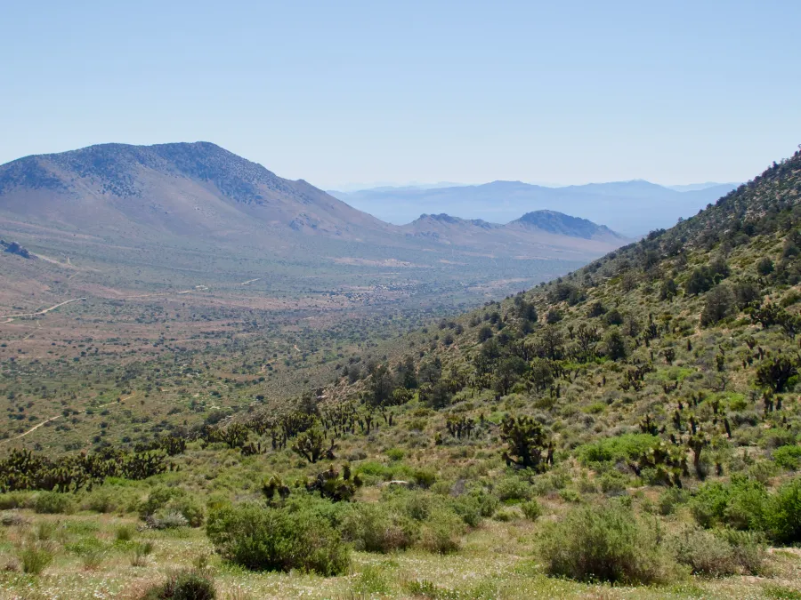 Valley and Scodie Mountains in the distance
