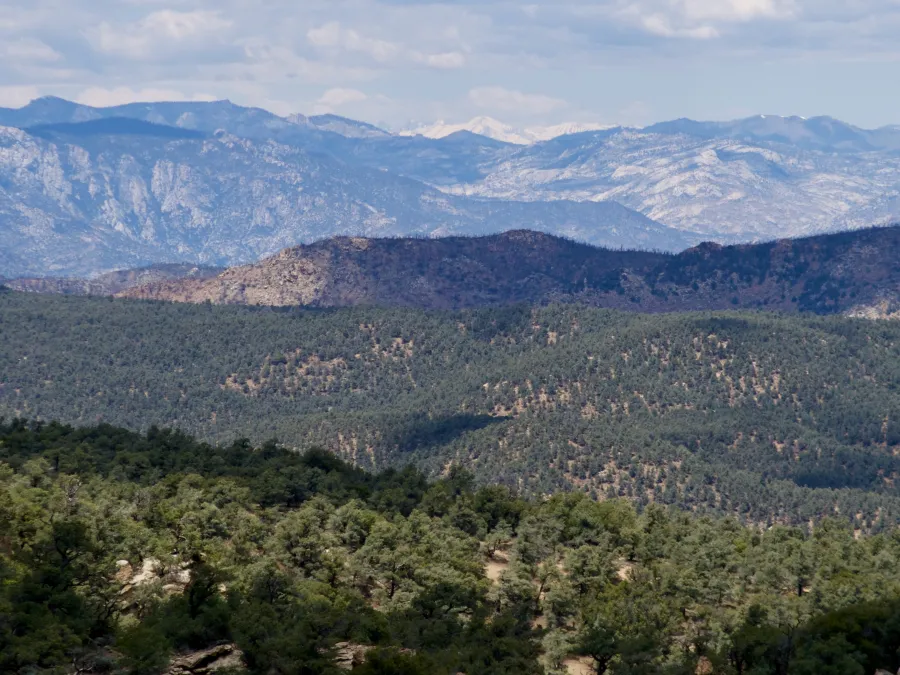 VIew of snow-capped Sierra