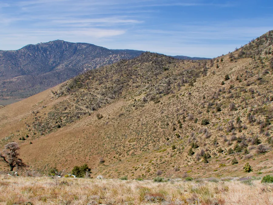 Looking back toward Walker Pass