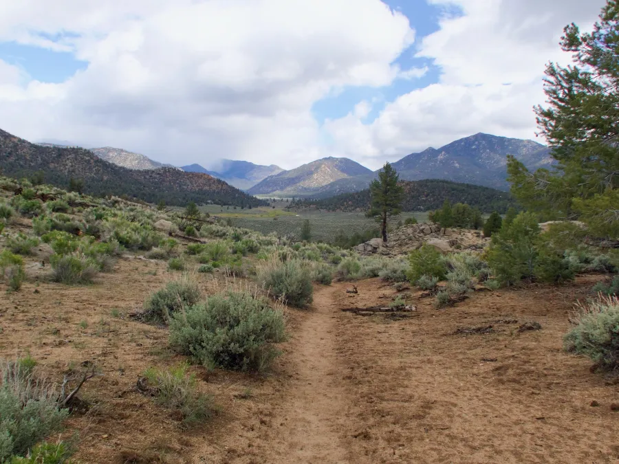 Trail leading to Kennedy Meadows