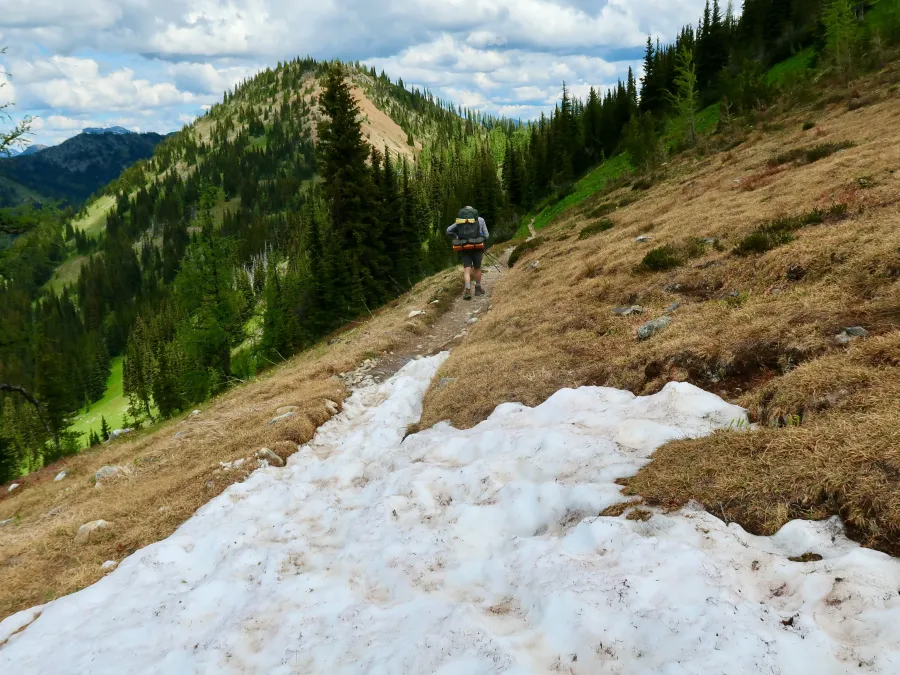 Small patch of snow on the trail