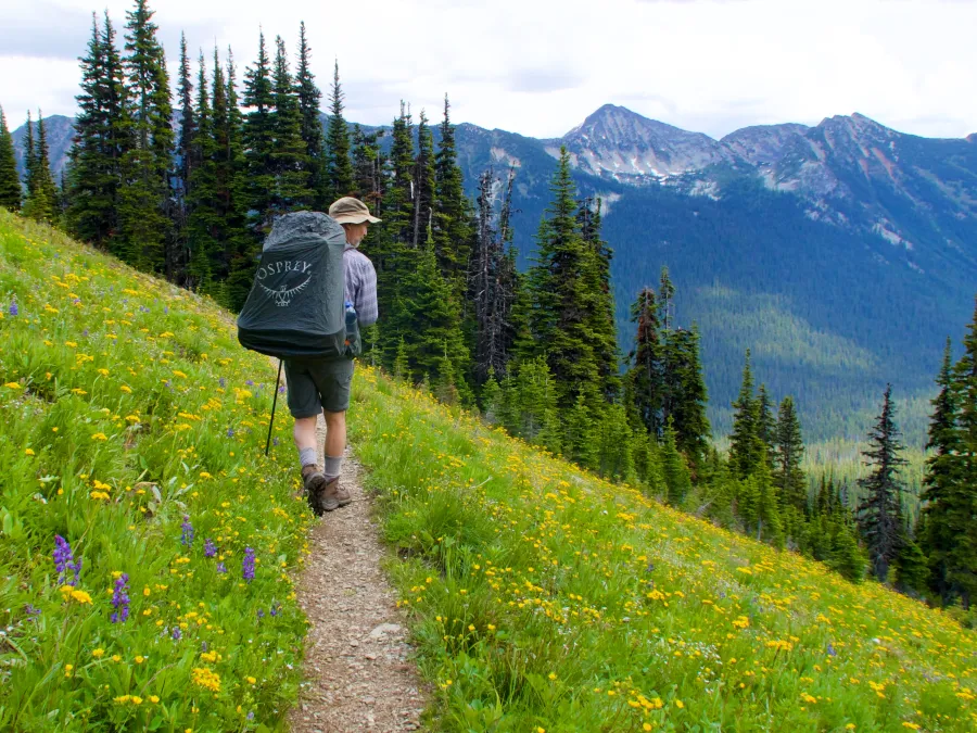 Looking at flowers on the PCT