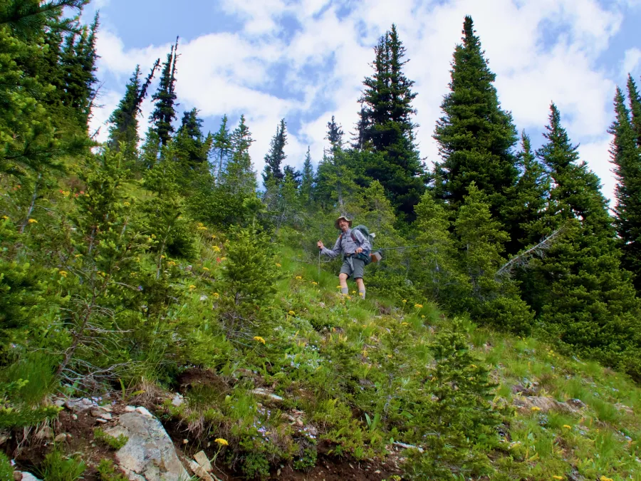 Ralph on a switchback