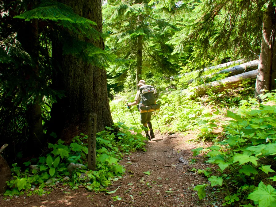 Descending the trail where it runs along Bridge Creek