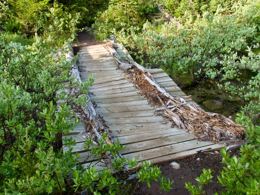 A broken-down bridge