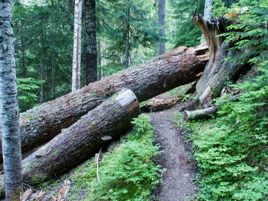 Difficult blowdown