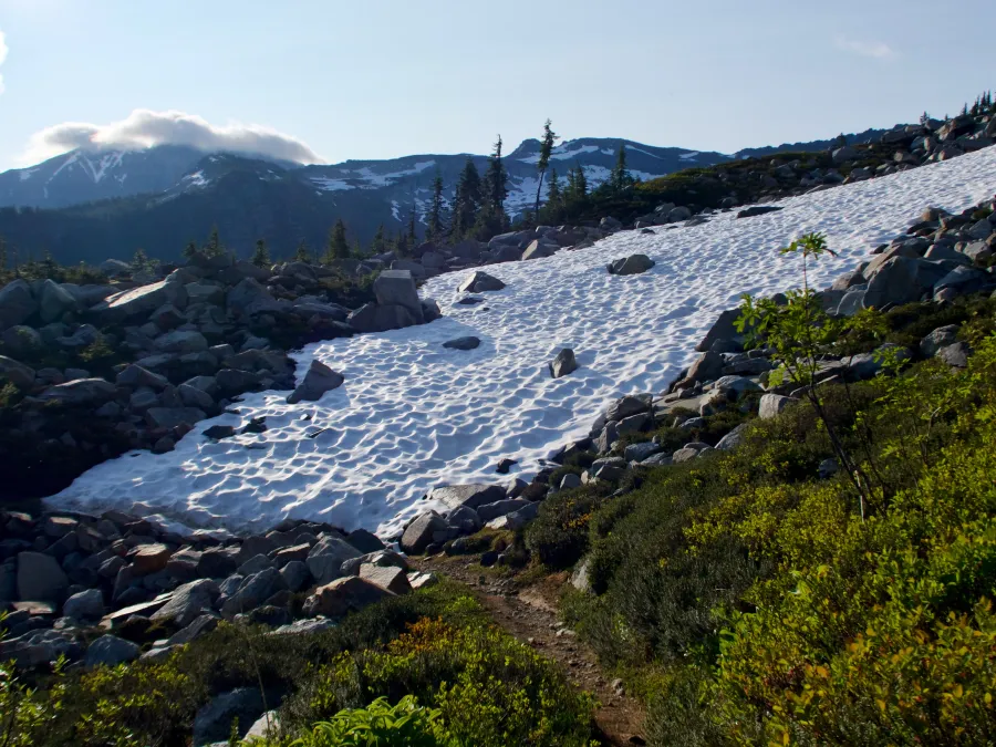 A patch of snow lies near the trail