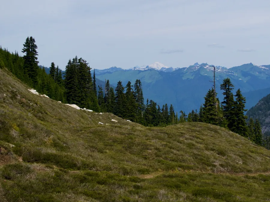 Crossing alpine grasses with a view of Mt. Baker in the distance