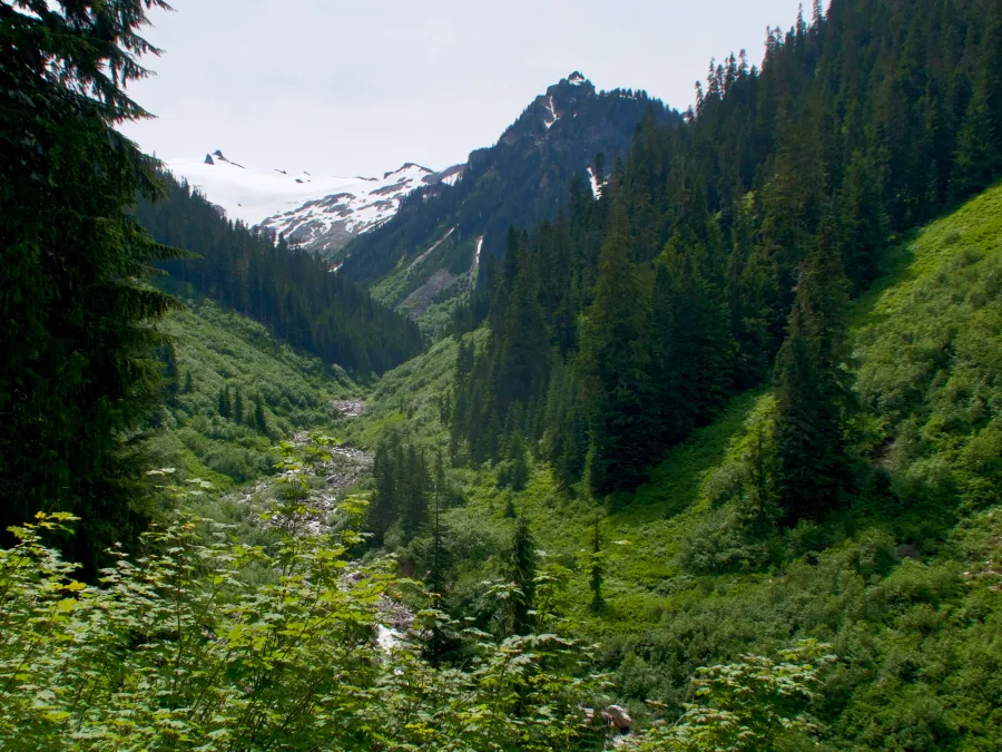 View of a distant glacier
