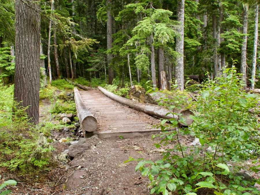 A bridge at Chetwot Creek