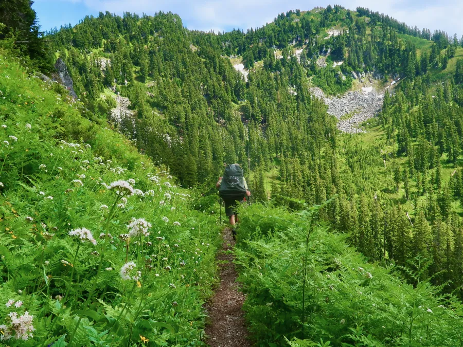 Hiking with Ralph