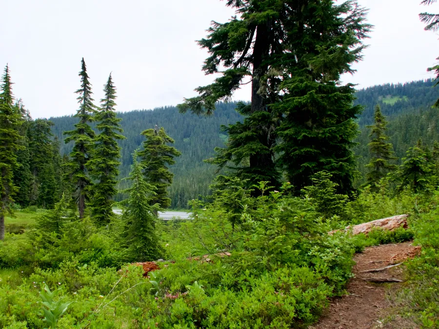 The trail goes near Lake Janus