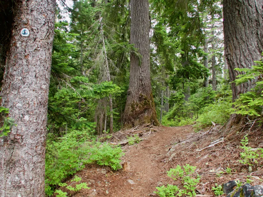 The Pacific Crest Trail