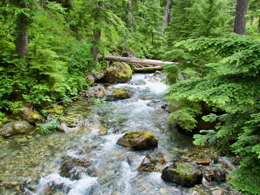 Lemah Creek