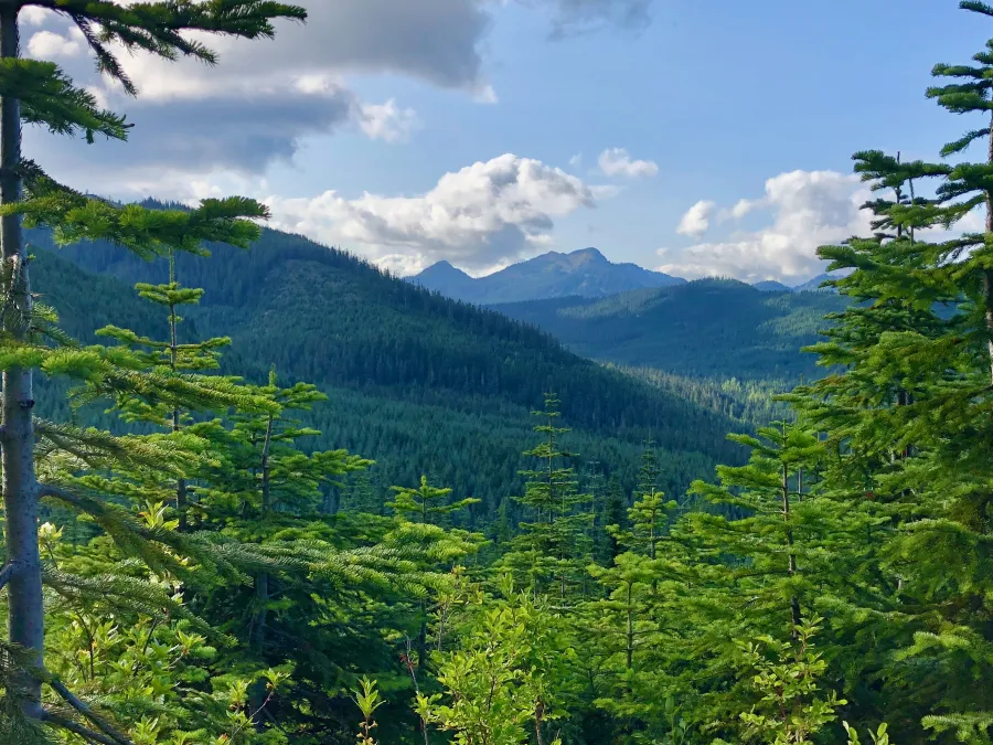 A view of Abiel and Tinkham peaks in the distance