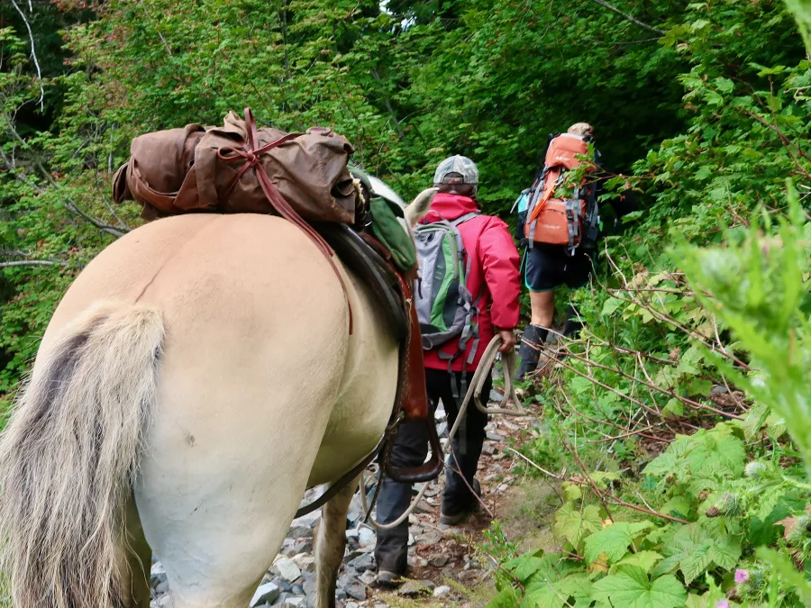 Hikers with a horse