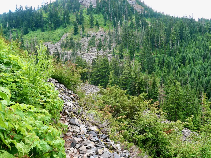 Rocky trail