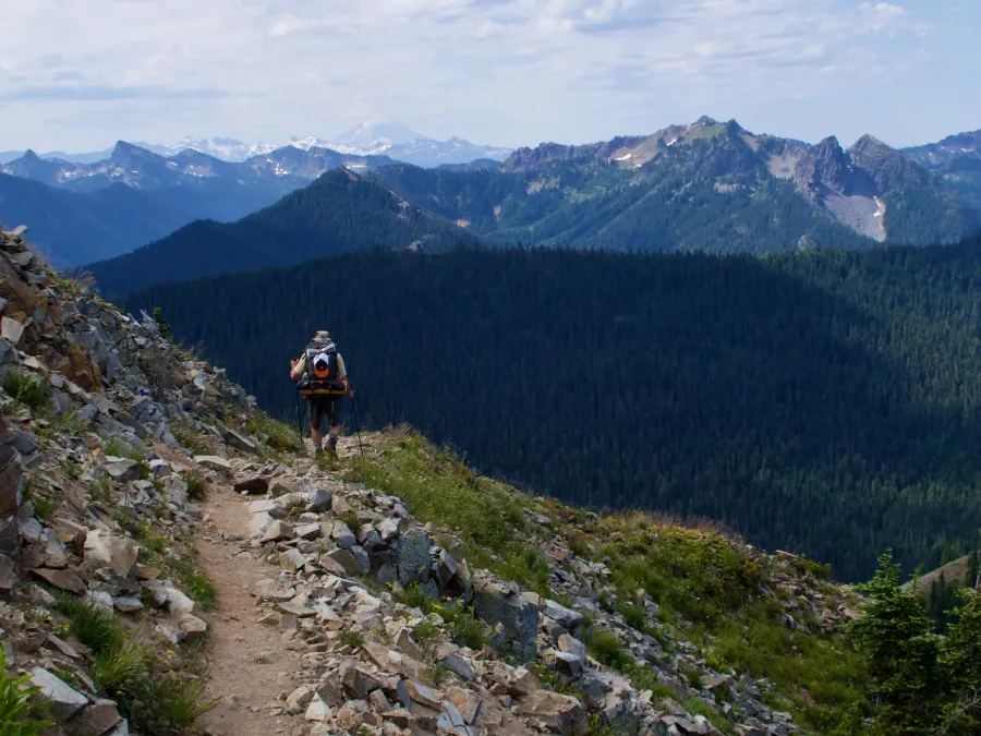 A view of Mt. Adams from the PCT