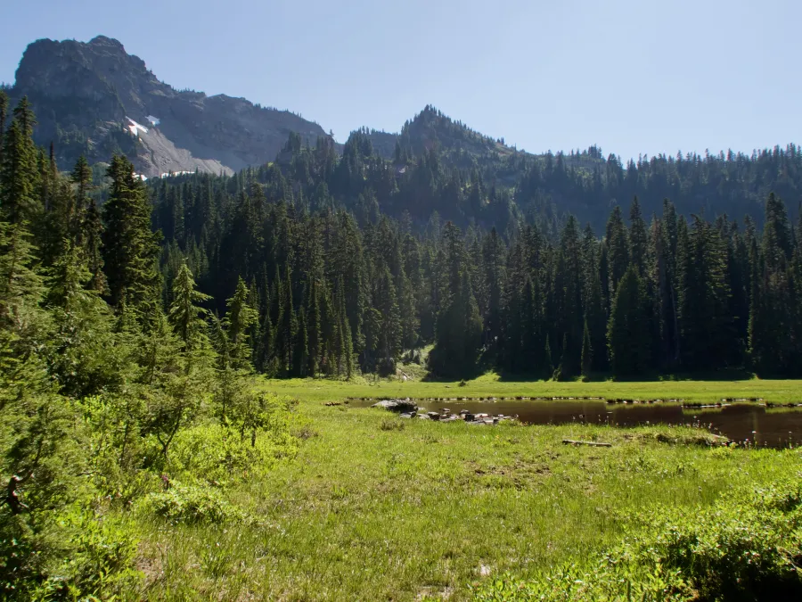A meadow and stream