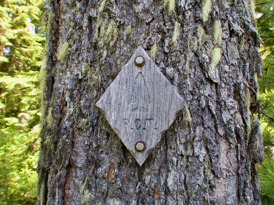A wooden PCT marker bolted to a tree