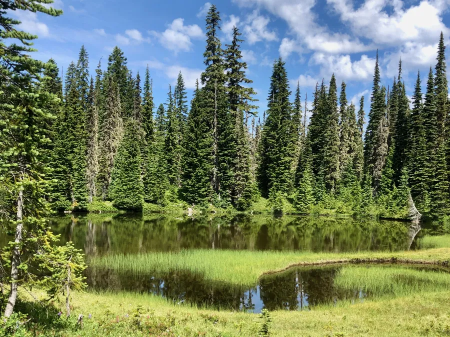 An unnamed pond near the PCT